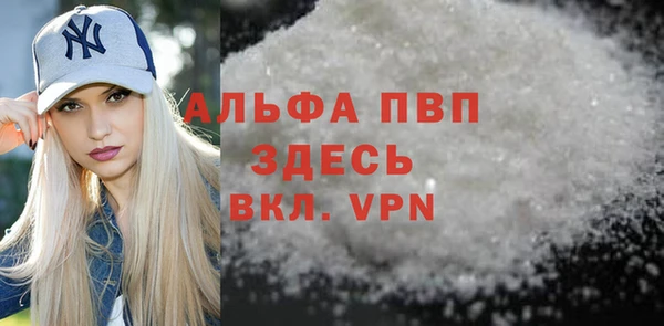 амф Новодвинск