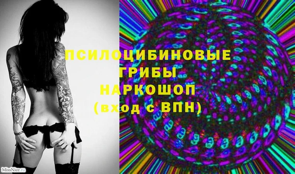 ECSTASY Новокубанск