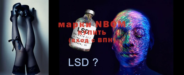 амф Новодвинск