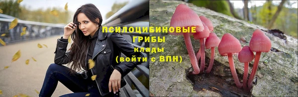 амф Новодвинск
