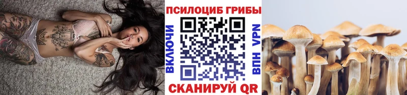 Псилоцибиновые грибы мицелий купить Тогучин